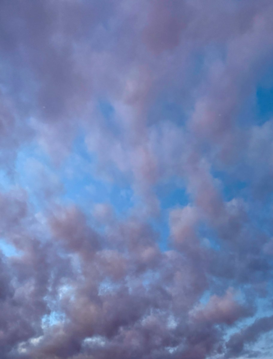 hasan-fun tweet media