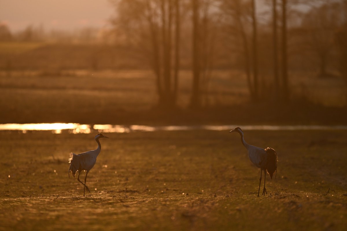 Oliwier Myka tweet media