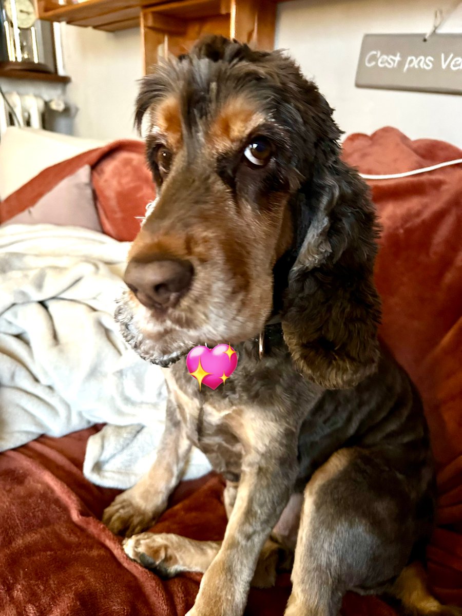 RobertLeCocker tweet media