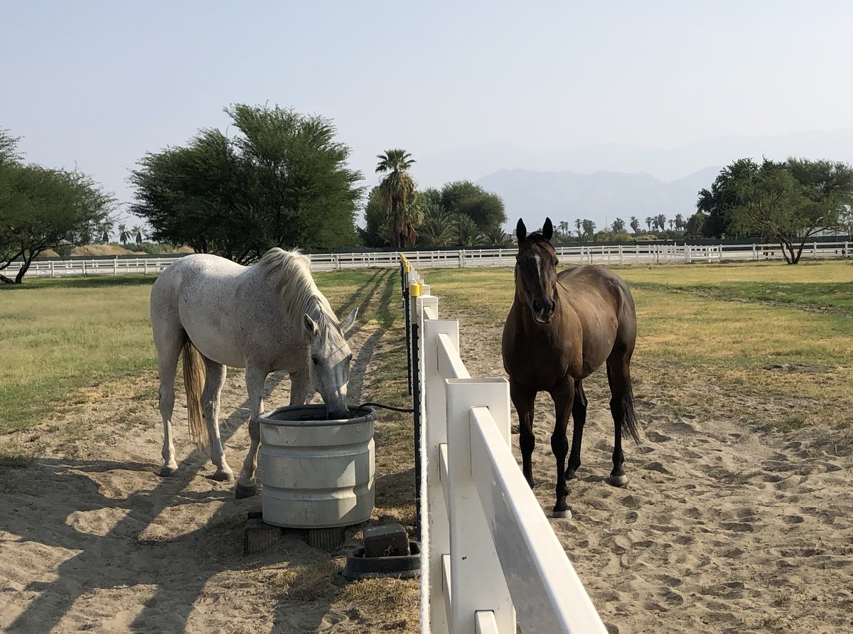 Glorious Alliance tweet media