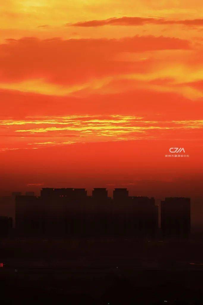 Anne Olivo tweet media