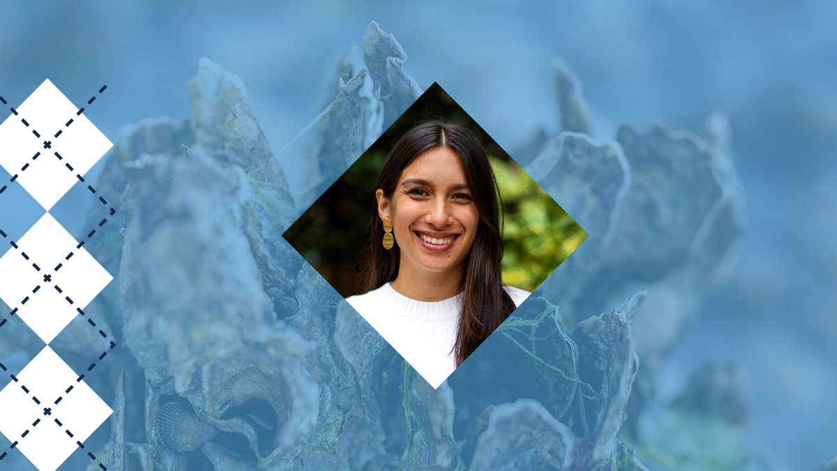 UNC Institute for the Environment tweet media