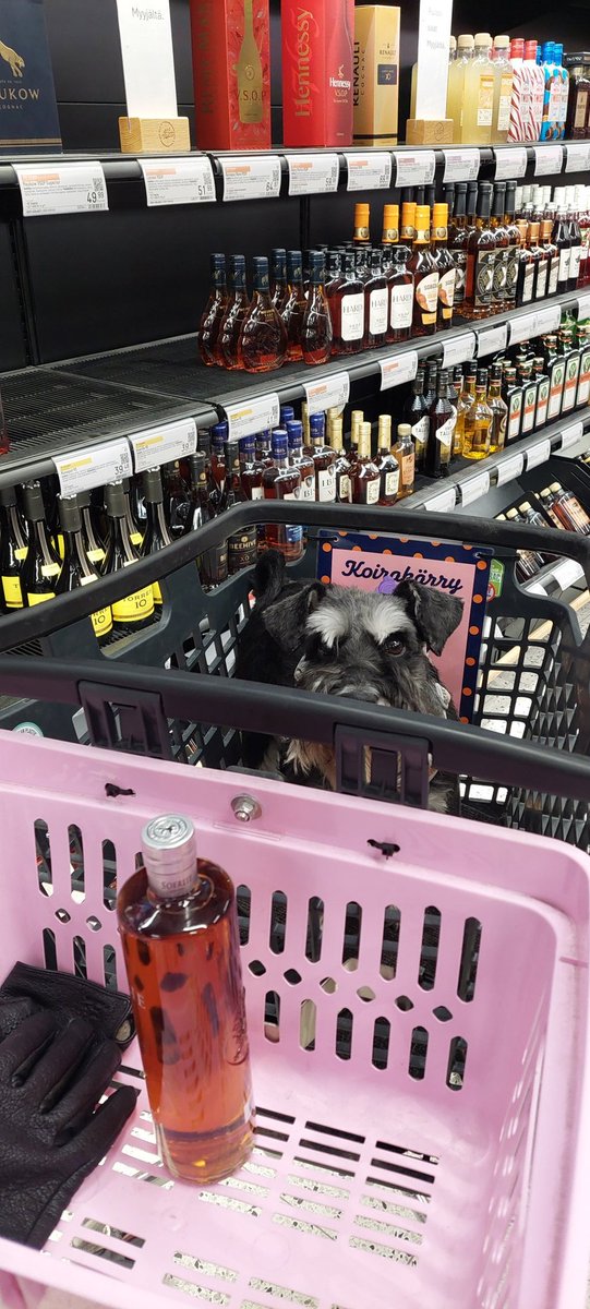 Hannu Tuomi tweet media