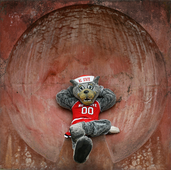 NC State Dept. of Agricultural & Human Sciences tweet media