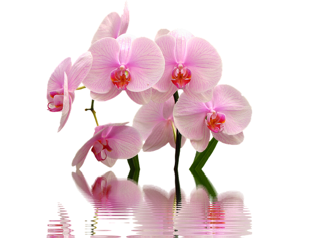 Eric Perry tweet media