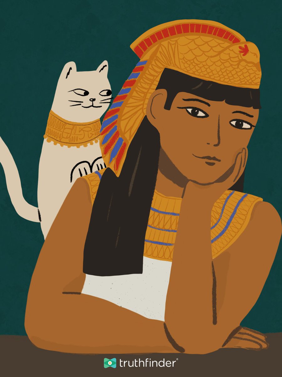 TruthFinder tweet media