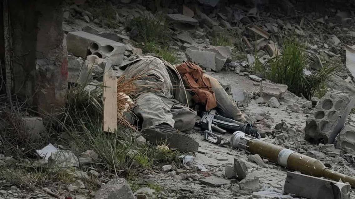 Mohamad Trad tweet media