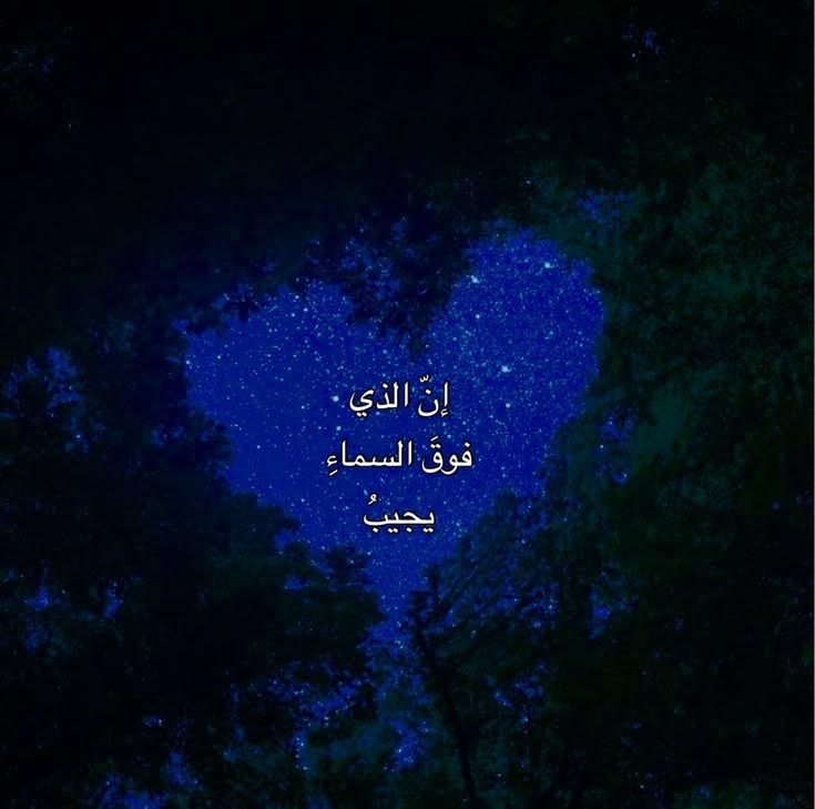 none aka null tweet media