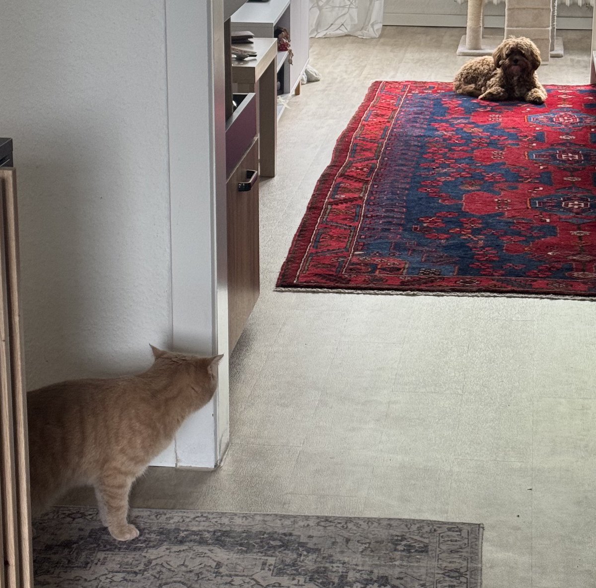 بهارنوشت~ tweet media