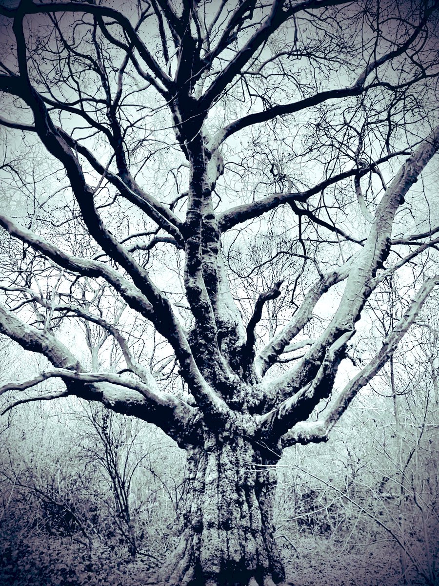 Roger Geeson tweet media