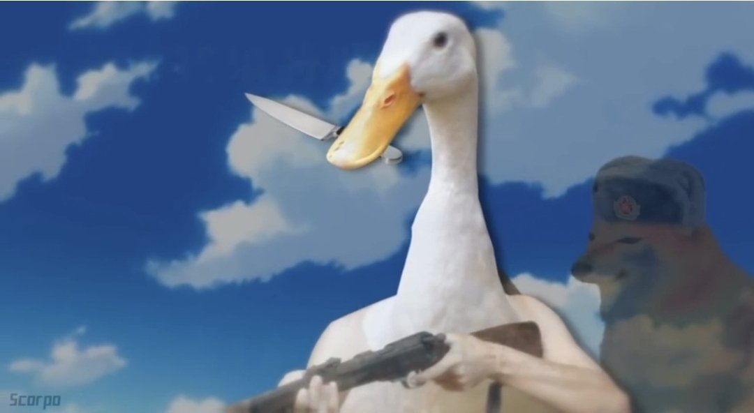 HONK KONG💹🪿🔪👁️ tweet media