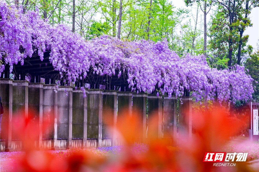 Jennia Herrera tweet media