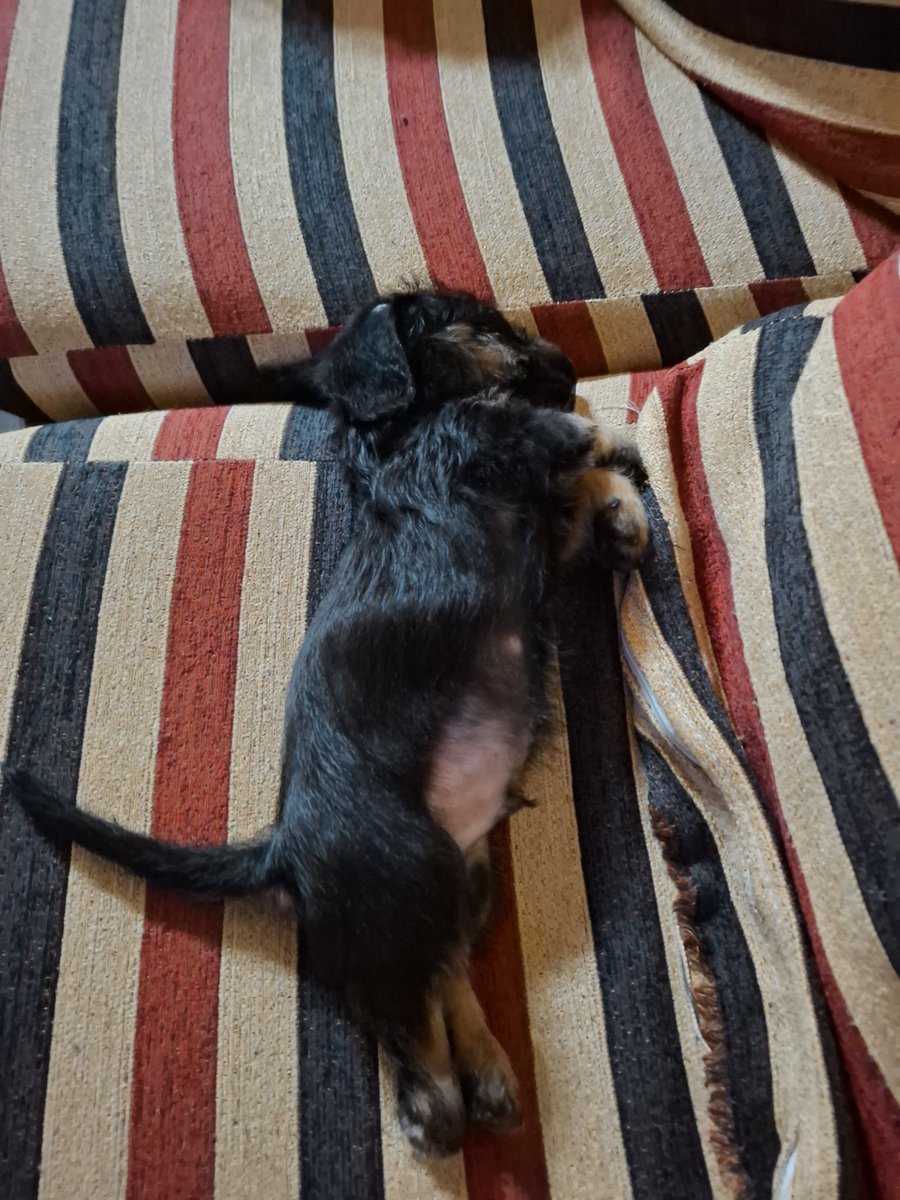 Santy RM🤍 tweet media