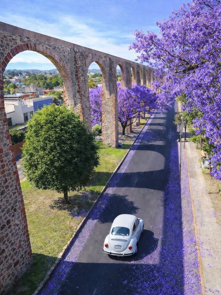 Laboratorio de Espacio Público en México® tweet media