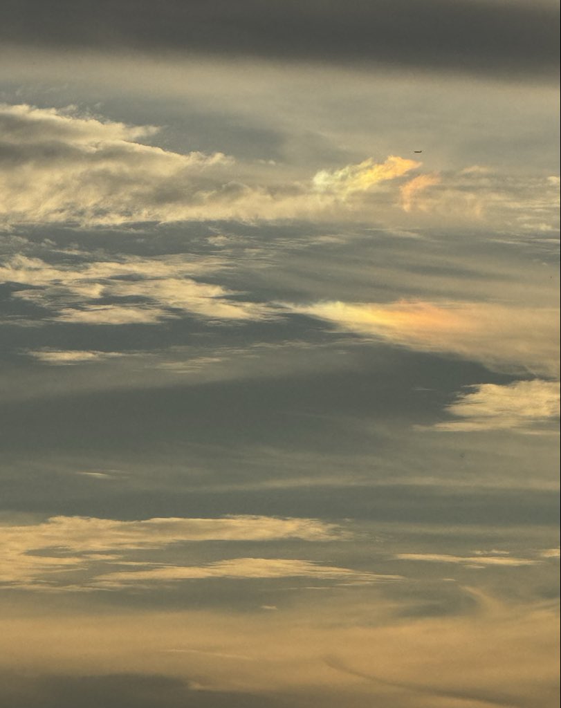 JulesGfree tweet media