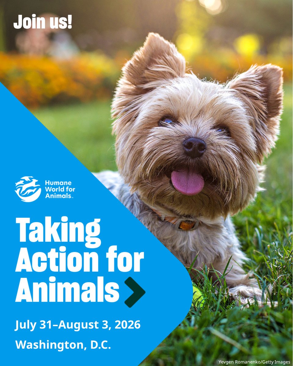 HumanePro tweet media