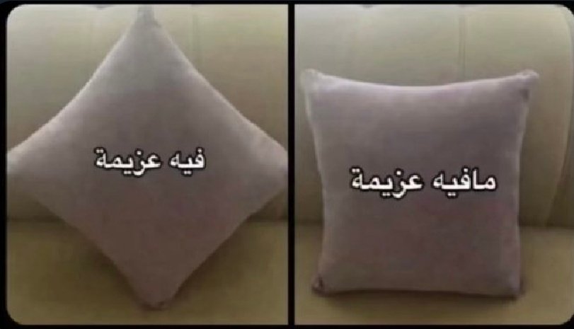 مشوت القواطي𝒯🇴🇲🇨🇵😍 tweet media