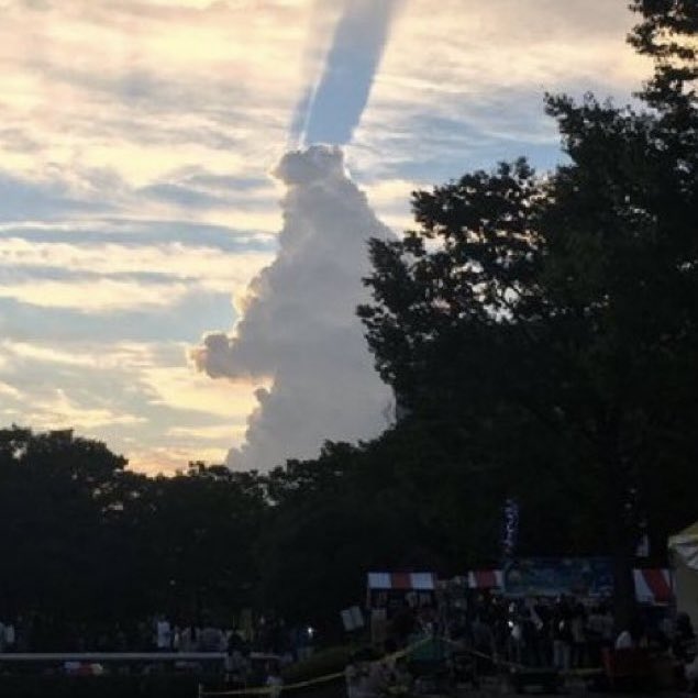 Mr. Goji  tweet media