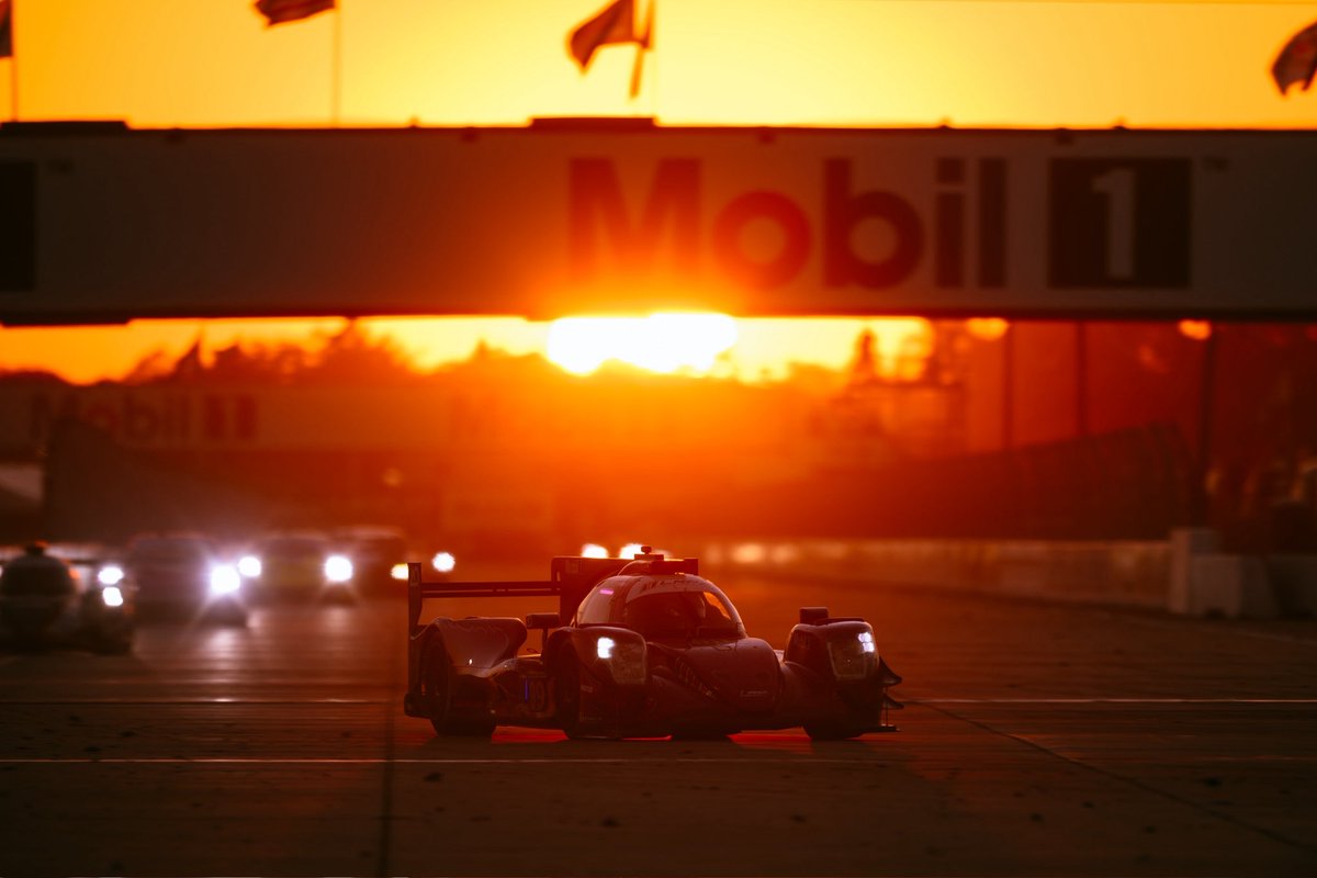 JonnyEdgar_'s tweet image. 12 Hours of action at Sebring. 🏁 Take a look back at @AORacingUSA’s top 📸s!

#IMSA #AORacing #EnduranceRacing #Racing @BRDCSuperStars