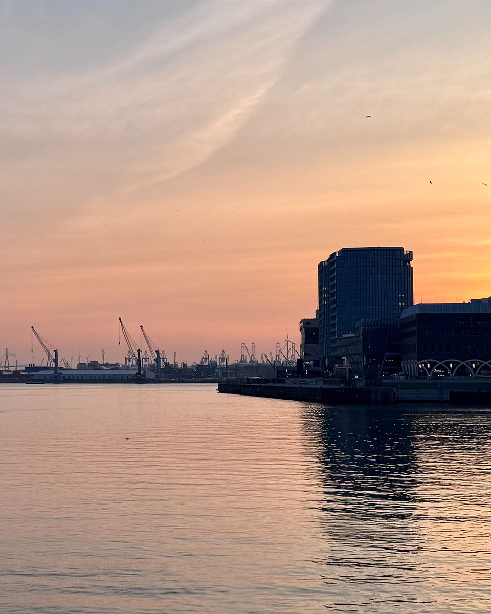 wetteronline.de tweet media