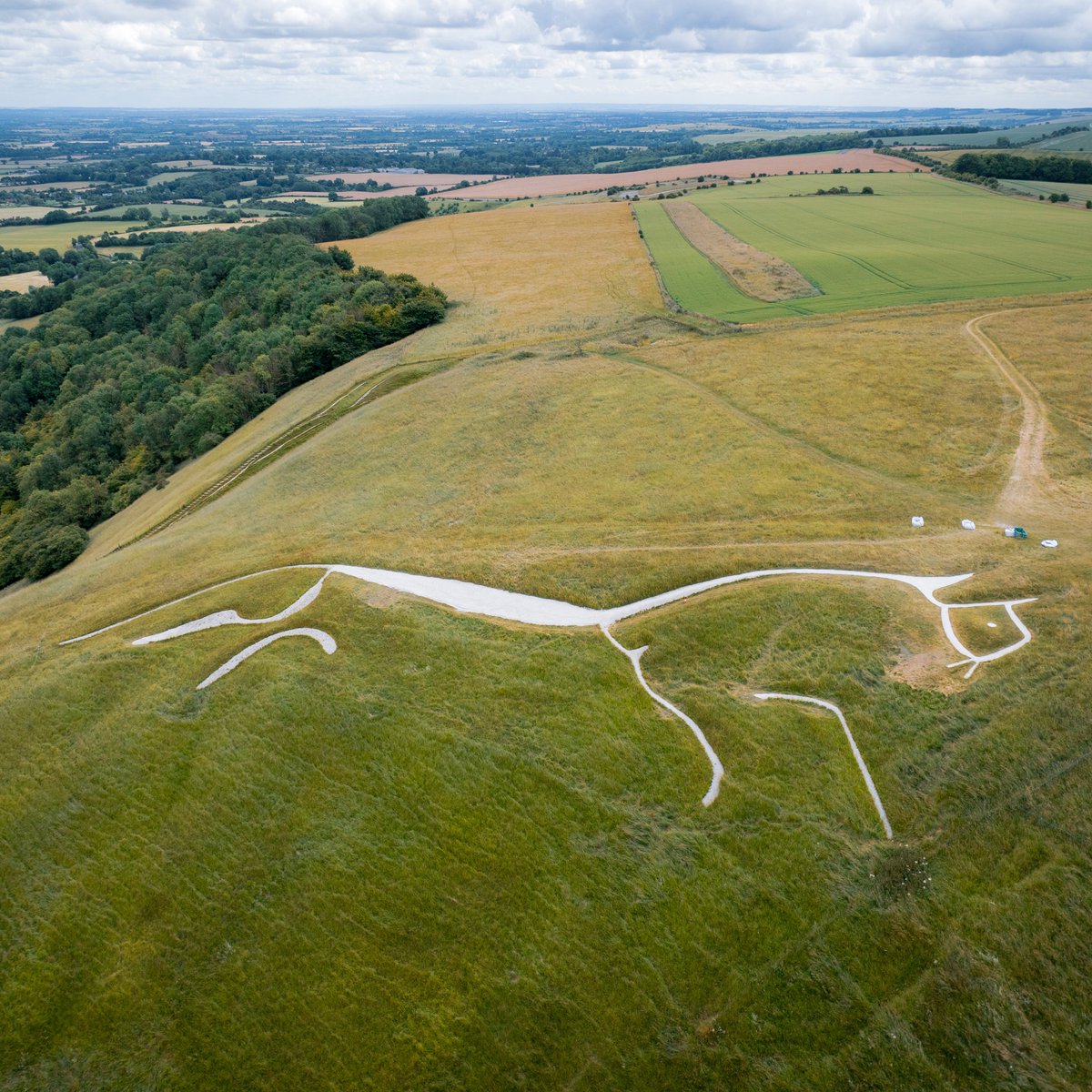 Cotswold Archaeology tweet media