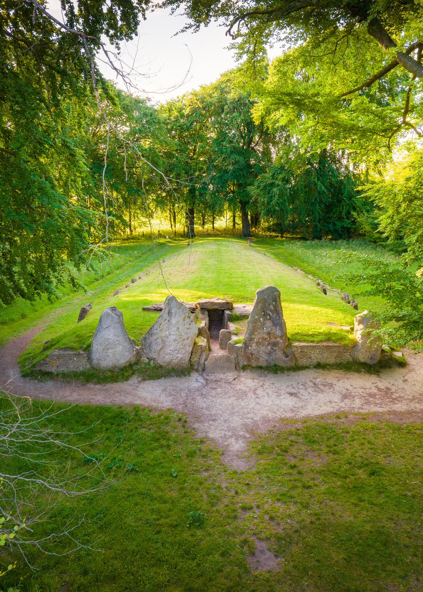 Cotswold Archaeology tweet media