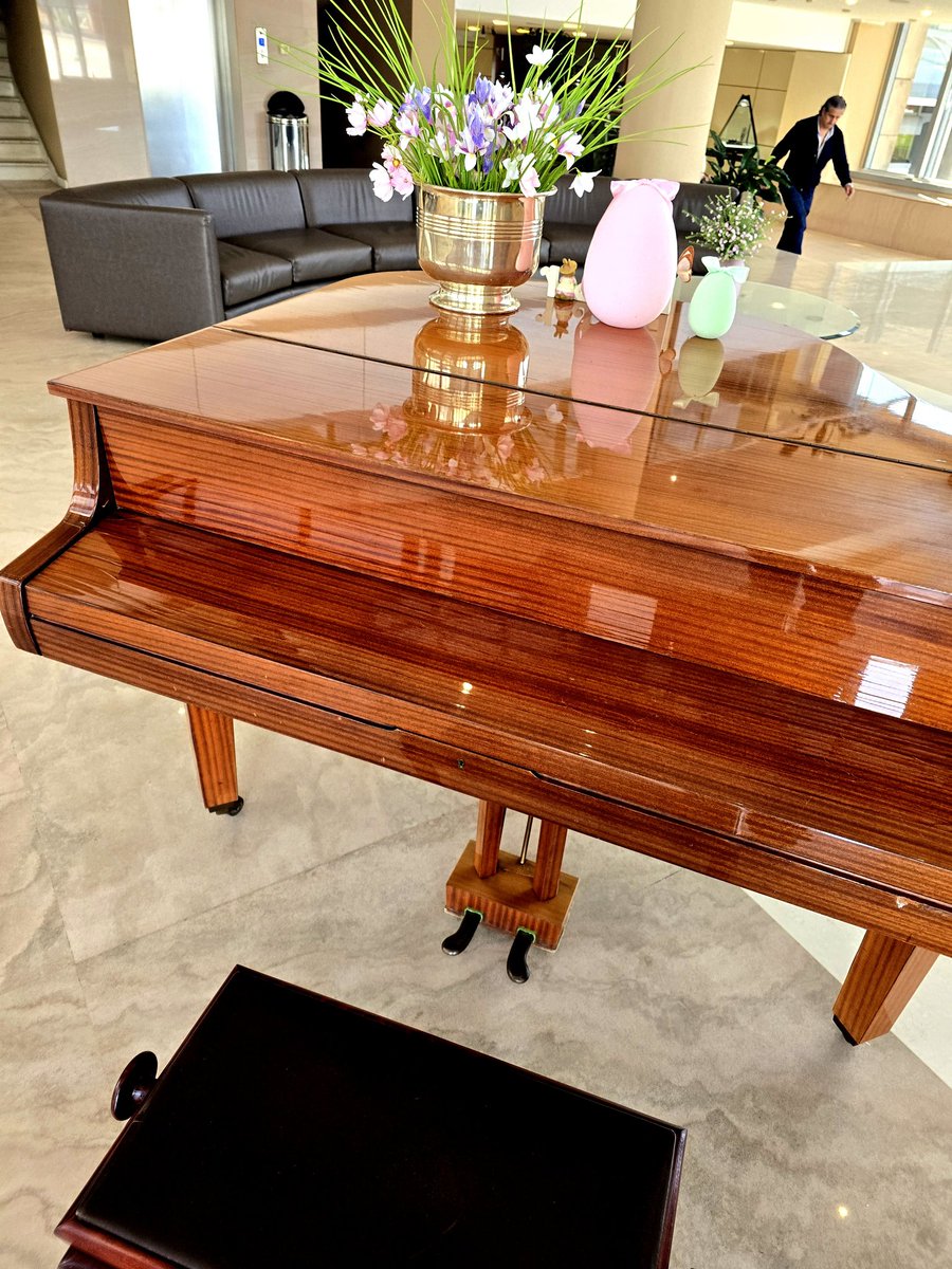 Saverio ,maggiordomo. tweet media