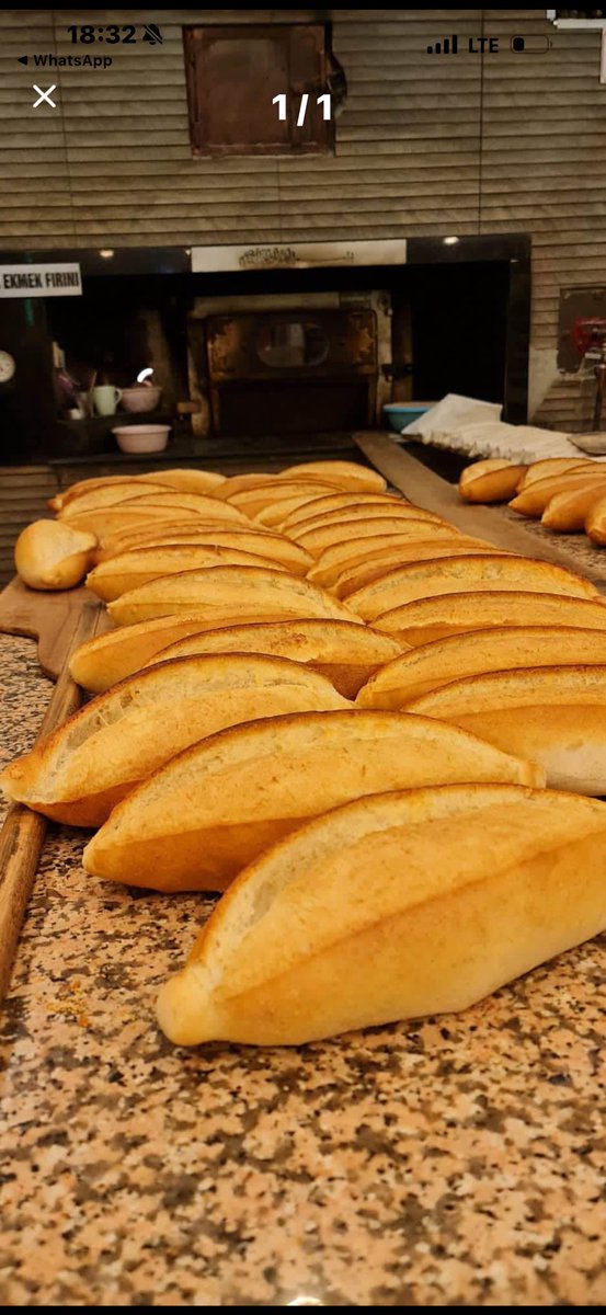 Fatih Muhaddis FEDAİOĞLU tweet media