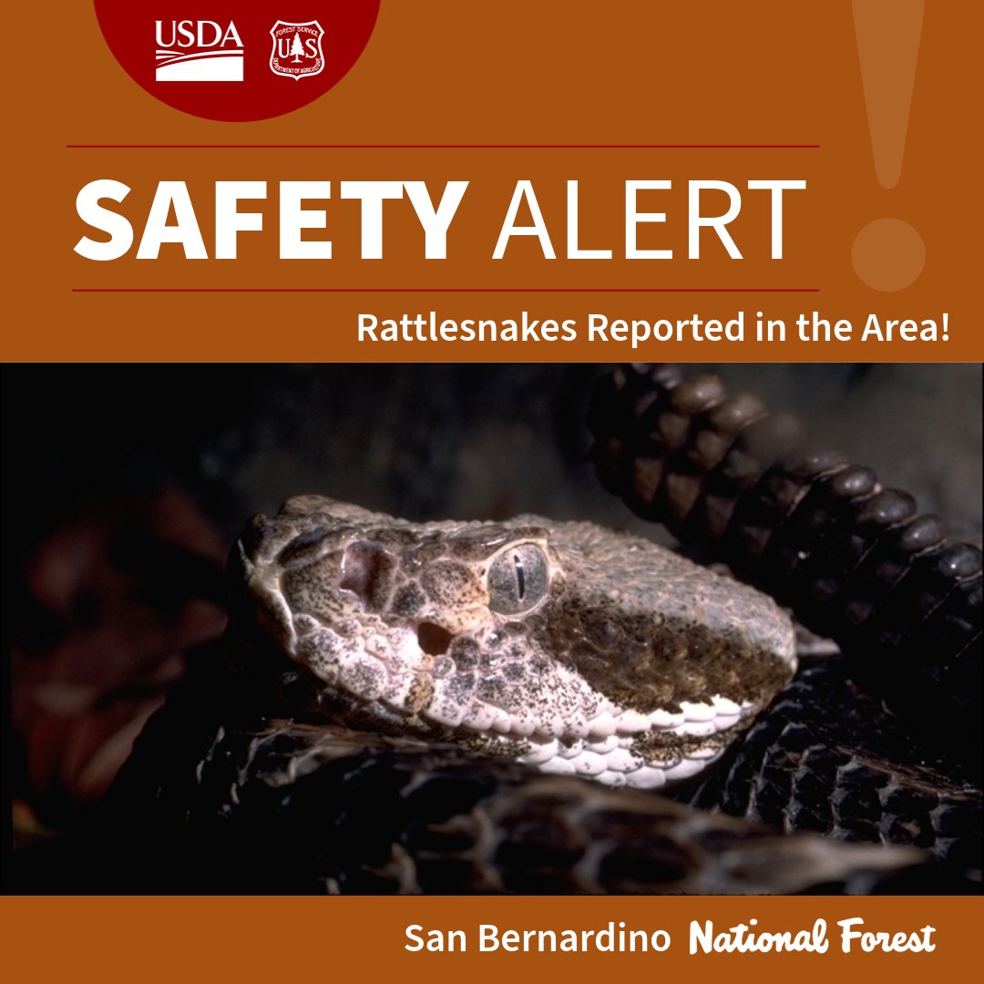 San Bernardino National Forest tweet media