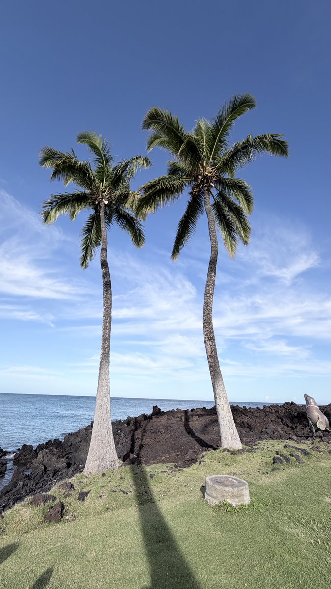 😊🌺☕️☮️❤️💙🎶🌊