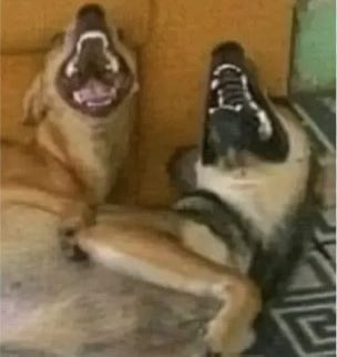 ⚡️Rivals of Storm Brasil 🌪️ tweet media