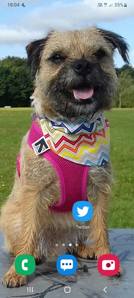 stephen rogers tweet media