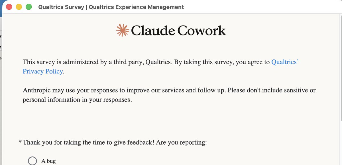 Elizabeth Knopf tweet media