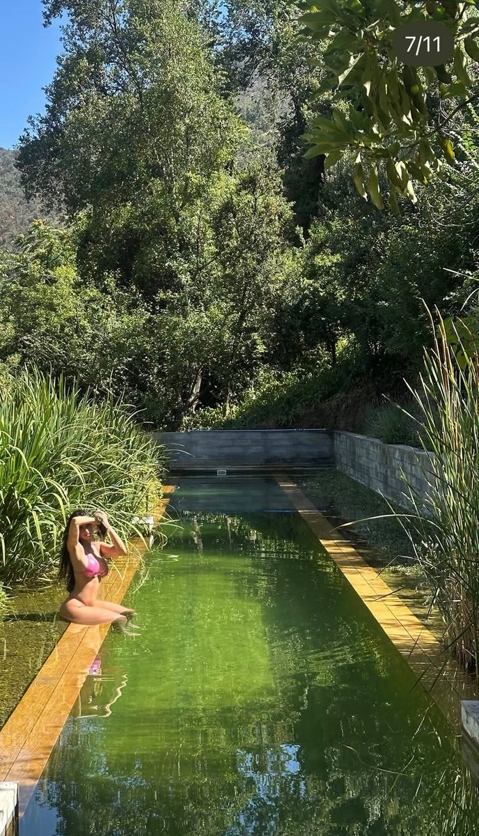 PALOMA MAMI 🕊️Coreos + tweet media