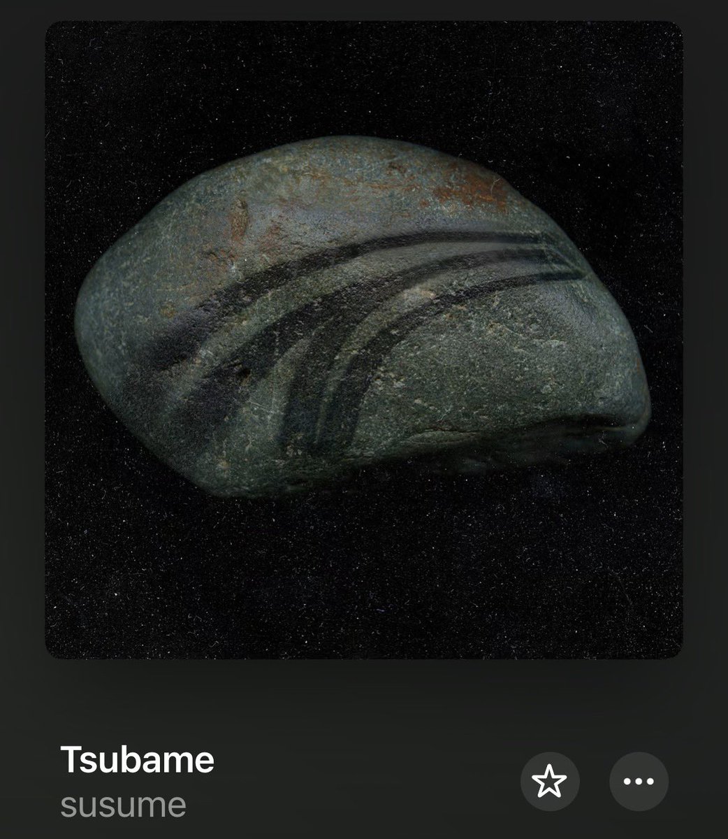 KataConor tweet media