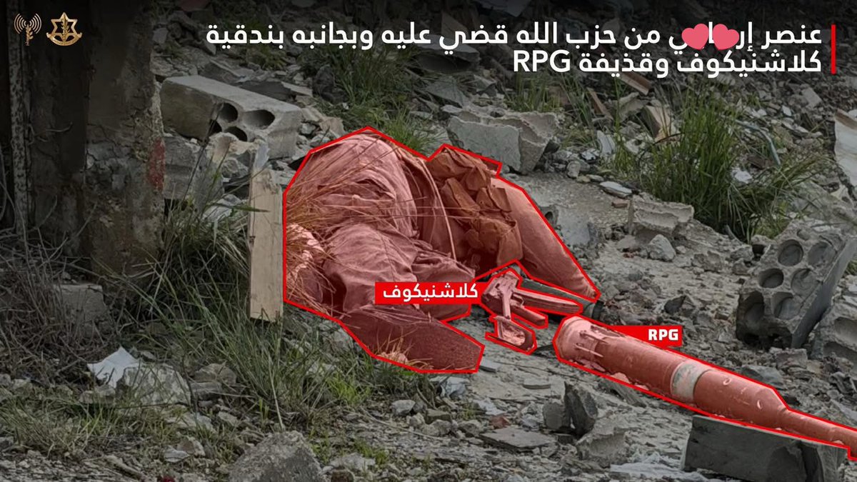 amal tamer💛✌🏻 tweet media