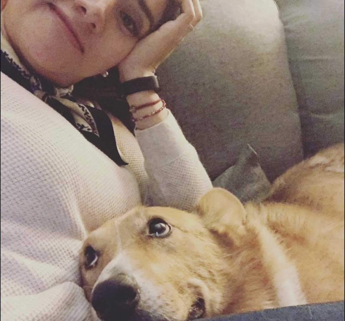 astroMow  tweet media