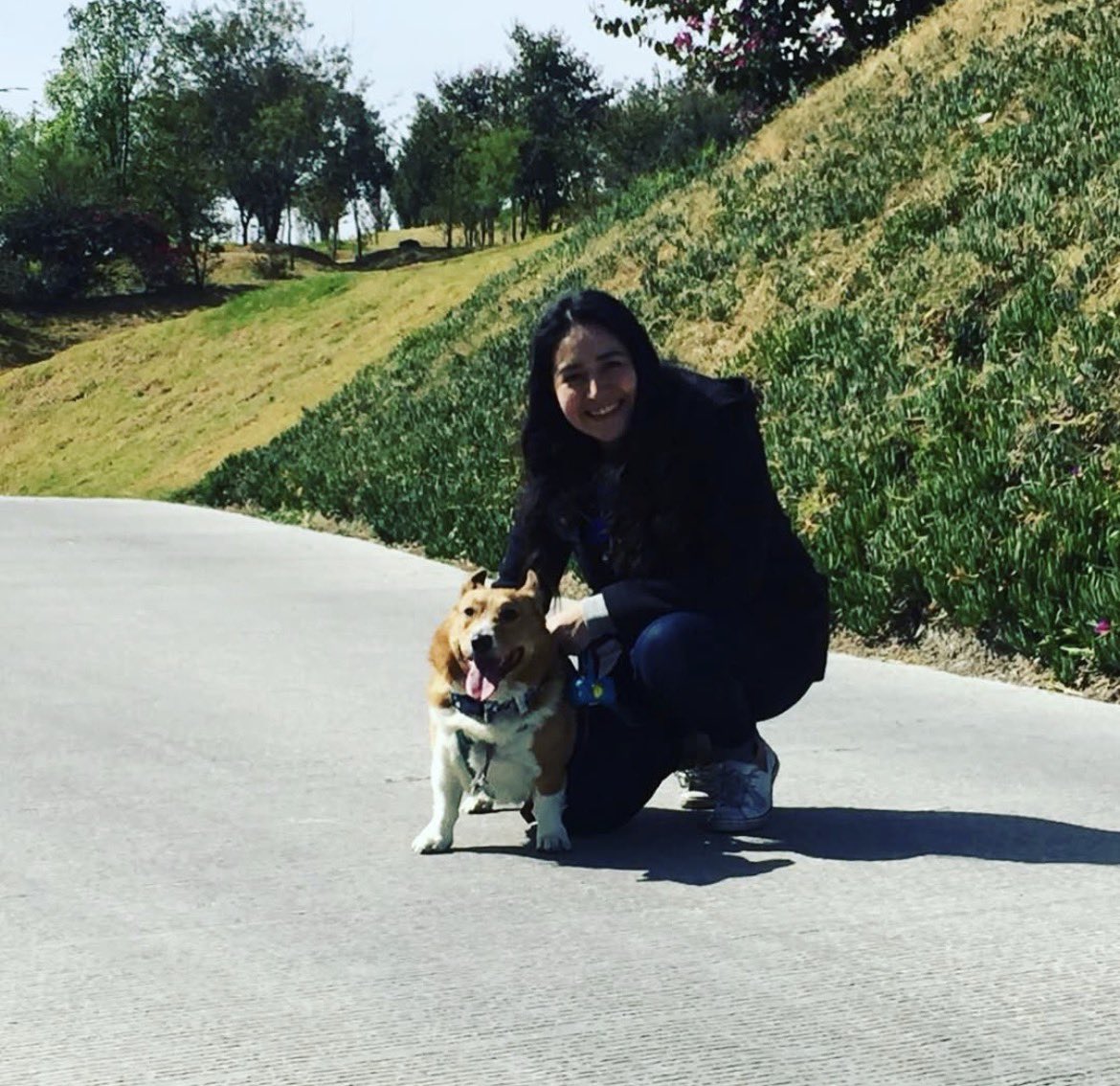 astroMow  tweet media