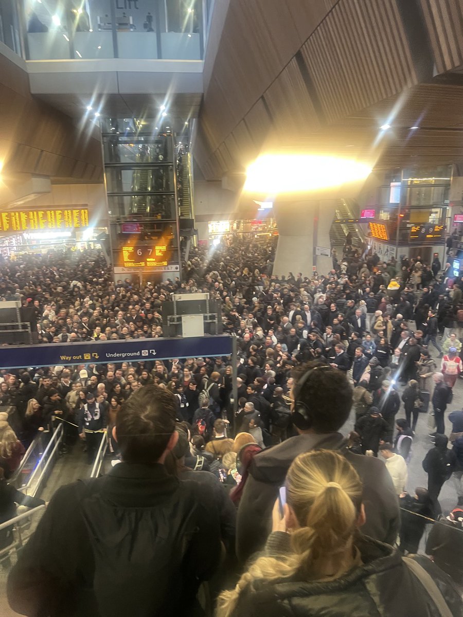 ● ᴥ ● tweet media