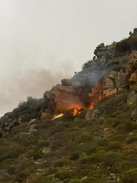 Pookie's Polls & Opinions tweet media