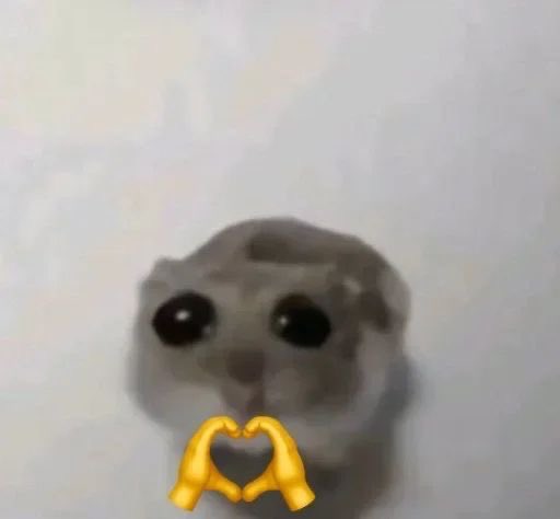 ⫘⫘⫘⫘⫘ tweet media