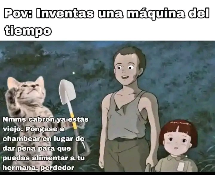 Snor 🐢 tweet media