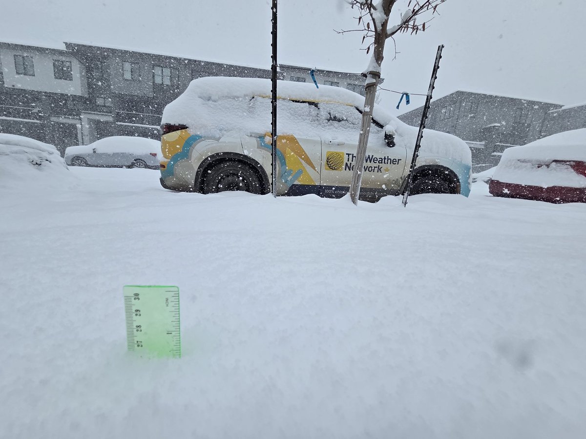 Connor O'Donovan tweet media