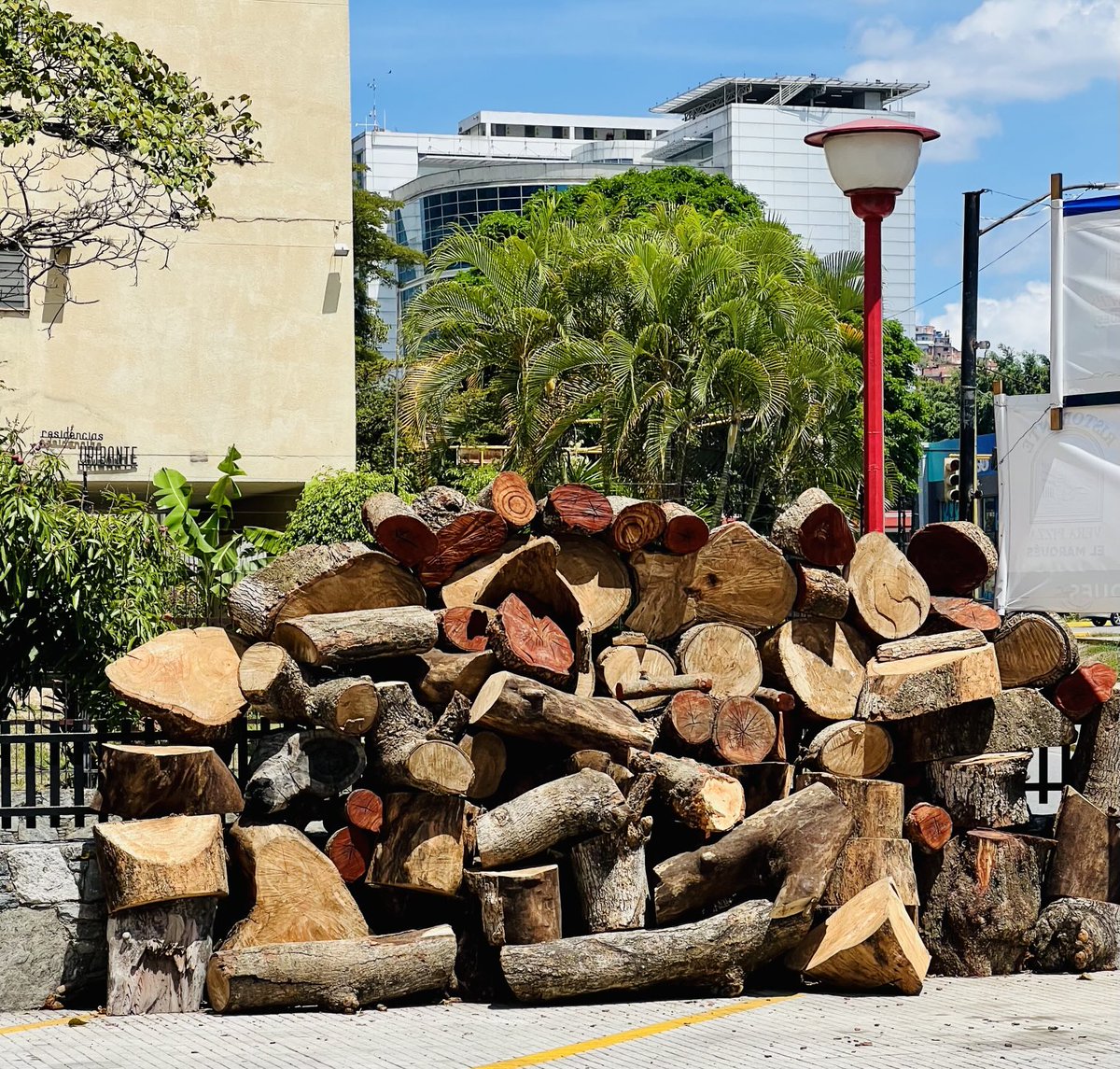 Eduardo Sifontes P. tweet media