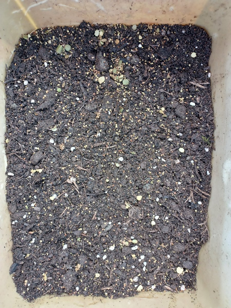 Eadha Enterprises tweet media