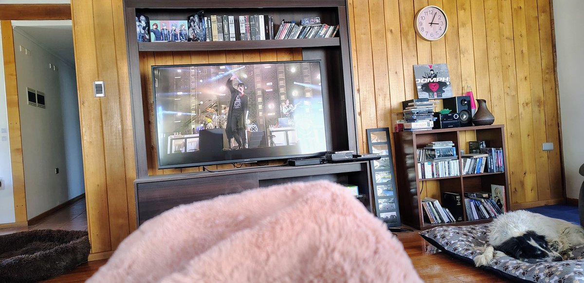 Estos dias he estado viendo todos los Blu-ray de Buck Tick. Hay varios en los que estoy de publico, pero obvio no me veo. Pero me emociona recordar como fue verlos en vivo y en que parte estaba.