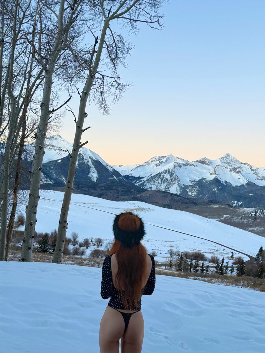 alpinevixen