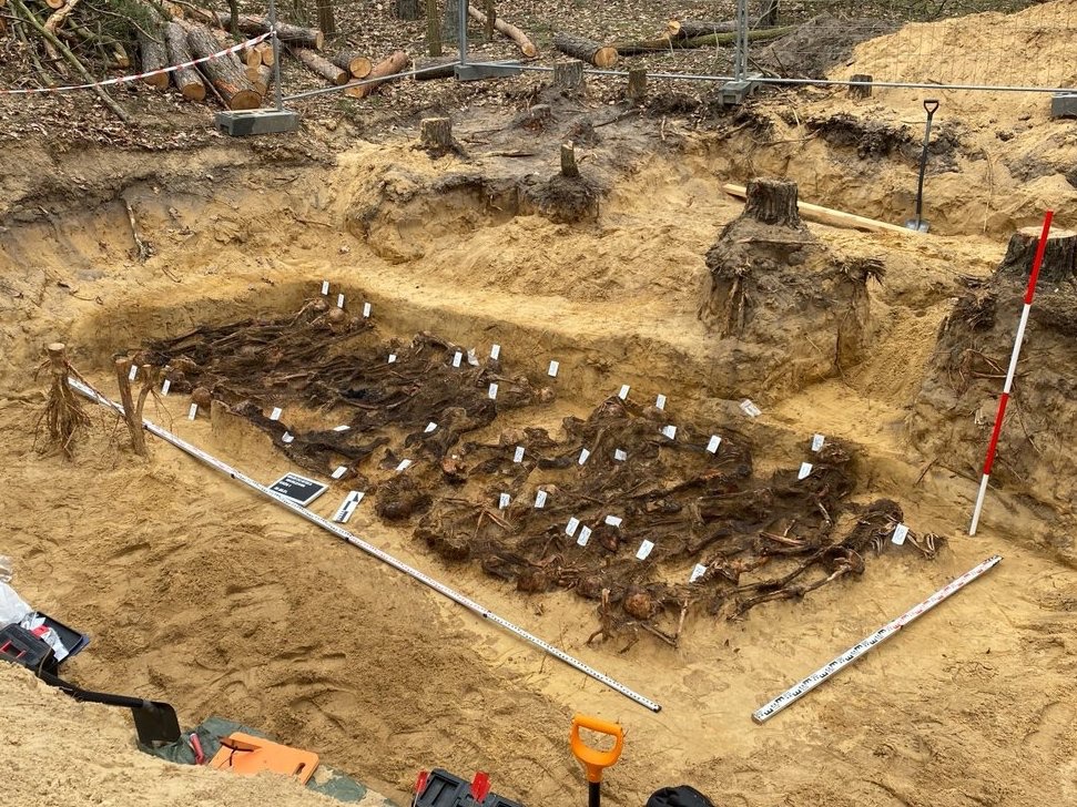 Agnieszka Jędrzak tweet media