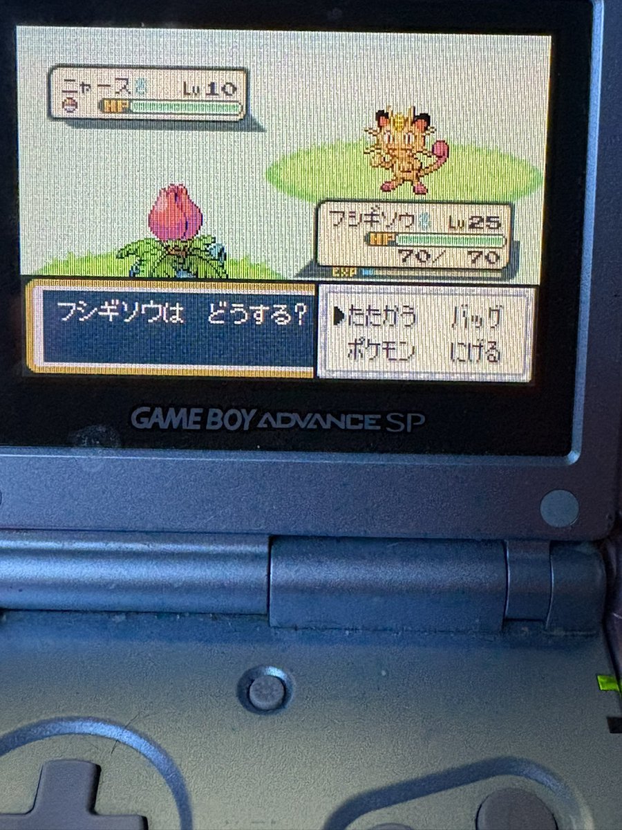 Shiny Meowth in Pokemon Fire Red after 8,332 REs! This is phase 8 for Pidgey! This one will be staying a Meowth and I’ll be evolving the one I previously caught into a Persian :)