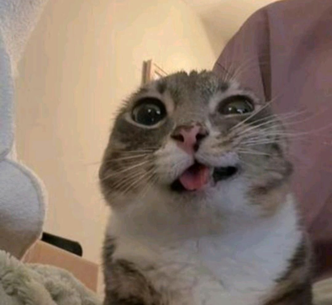 ᴠᴀʟᴇᴊᴀᴍ 🍦 tweet media